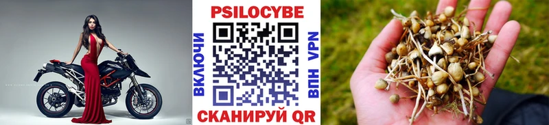 Галлюциногенные грибы Cubensis Дубна